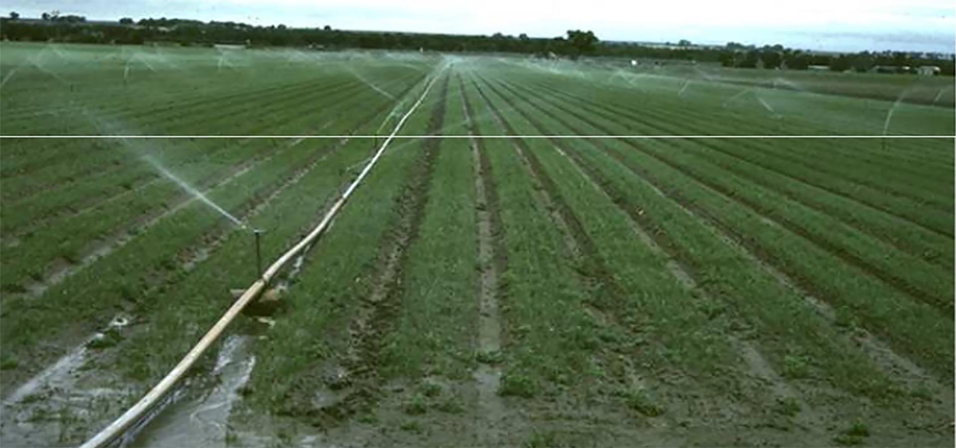 DTT Ingénierie Conseils